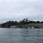 Goat Island