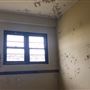 North Head Sanctuary - Barracks Precinct Building 1