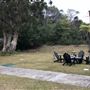 North Head Sanctuary - Barracks Precinct Building 16