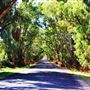 Narrabri NSW 2390