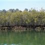Hawkesbury River - Mooney Mooney & Milsons Passage