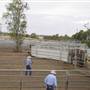 Dubbo Saleyards