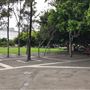 Pyrmont Bay Park