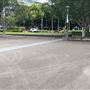 Pyrmont Bay Park