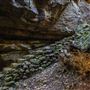 Mermaid's Cave