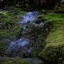 River Caves Canyon