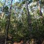 Clarrie Hall Dam