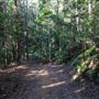Clarrie Hall Dam