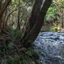 Clarrie Hall Dam
