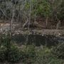 Clarrie Hall Dam