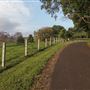 Coolamon Scenic Drive in the Byron Bay Hinterlands