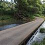 Coolamon Scenic Drive in the Byron Bay Hinterlands