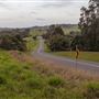 Coolamon Scenic Drive in the Byron Bay Hinterlands