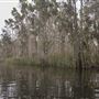 Cudgen Creek