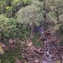 Minyon Falls - Nightcap National Park