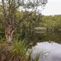 Tyagarah Nature Reserve