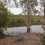 Tyagarah Nature Reserve