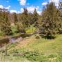 McKanes Bridge - Coxs River