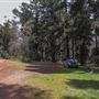 Jenolan State Forest