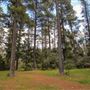 Jenolan State Forest