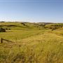 Taralga countryside