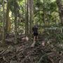 Ardeena - Jungle / Rainforest Private Property