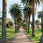 Tamworth
