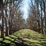 Armidale