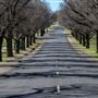 Armidale