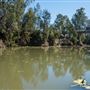 Gunnedah