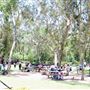 The Australian Reptile Park