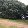 Strickland House - Sydney Harbour National Park