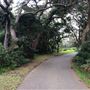 Nielsen Park