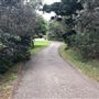Nielsen Park