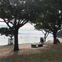 Nielsen Park