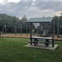 Mick Ryan Park - Big Fig Tree