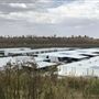 Industrial Park inside former Prospect Quarry