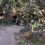 Trumper Park