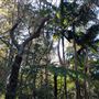 Trumper Park