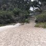 Hyams Beach - Jervis Bay