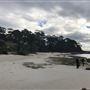Hyams Beach - Jervis Bay