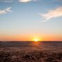 Broken Hill Living Desert