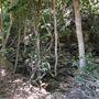 Otford Farm - Paintball Property