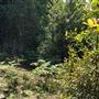 Otford Farm - Paintball Property