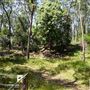 Otford Farm - Jungle Set Build Site