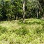 Otford Farm - Jungle Set Build Site