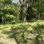 Otford Farm - Jungle Set Build Site