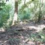 Otford Farm - Jungle Set Build Site