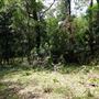 Otford Farm - Jungle Set Build Site
