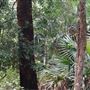 Otford Farm - Jungle Set Build Site